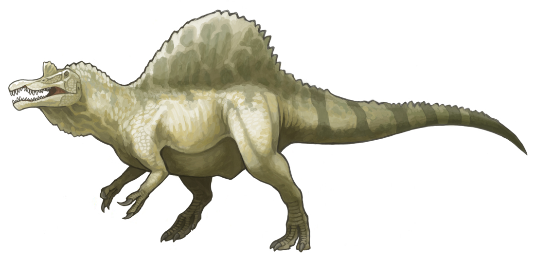 Spinosaurus aegyptiacus